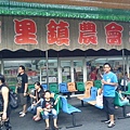 清境小瑞士花園146.jpg