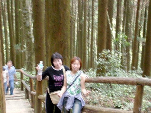 藤枝森林17.jpg