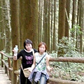 藤枝森林17.jpg