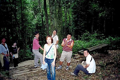 藤枝森林24.jpg