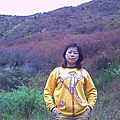 hkO0Og3ZoCgWm1AZIzh6eQ.jpg