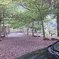 GMc5DVvdjoRZSGMJppm9BA.jpg