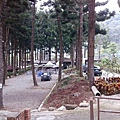 w4sCB6hhnR7RTVKjmyUwHA.jpg