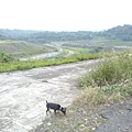 Y49_p_nlQ8xVgcgAl71Ptw.jpg