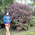3av7YduNeV8C10Ou4II3_A.jpg