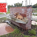 zBU6RjReZSmJhIfWJML9NQ.jpg