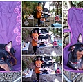 IMG_20131005_144818.jpg