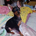 IMG_20130622_175753