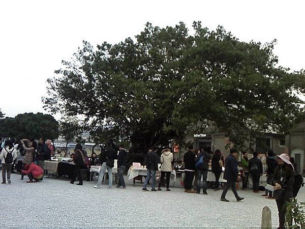 IMG10395.jpg