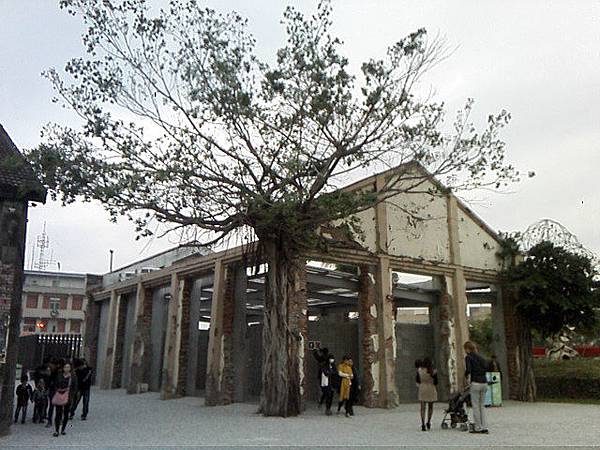 IMG10397.jpg