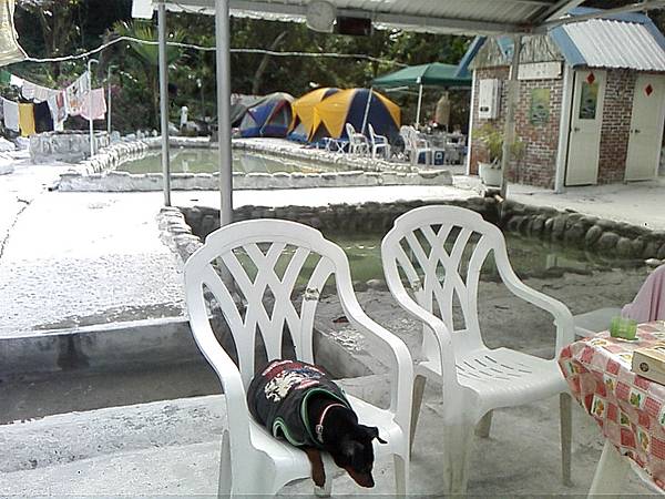 IMG10978.jpg