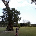 IMG10864.jpg