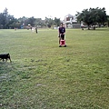 IMG10866.jpg