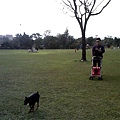 IMG10867.jpg