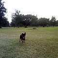 IMG10868.jpg