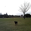 IMG10869.jpg