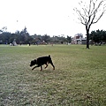 IMG10870.jpg