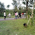 IMG10871.jpg