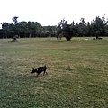IMG10872.jpg