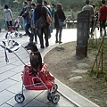 IMG10878.jpg