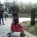 IMG10879.jpg
