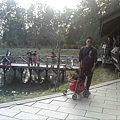 IMG10882.jpg