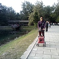 IMG10890.jpg