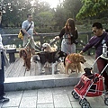 IMG10891.jpg