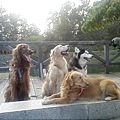 IMG10893.jpg