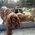 IMG10894.jpg