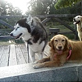 IMG10895.jpg