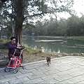 IMG10905.jpg