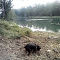 IMG10907.jpg