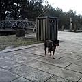 IMG10910.jpg