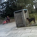 IMG10911.jpg