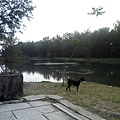 IMG10912.jpg