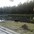 IMG10913.jpg