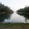 IMG10917.jpg