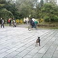 IMG10918.jpg