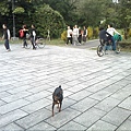 IMG10919.jpg