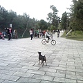 IMG10920.jpg