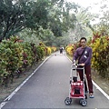 IMG10923.jpg