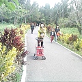 IMG10926.jpg