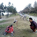 IMG10927.jpg