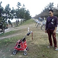 IMG10928.jpg