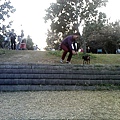 IMG10941.jpg