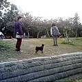 IMG10942.jpg