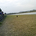 IMG10944.jpg