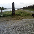 IMG10960.jpg