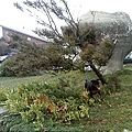 IMG10994.jpg